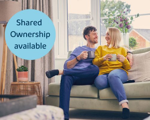 VDSW-B-SHARED-OWNERSHIP-CAROUSEL
